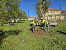 Община Пазарджик засажда десетки нови дървета в парк „Стадиона“